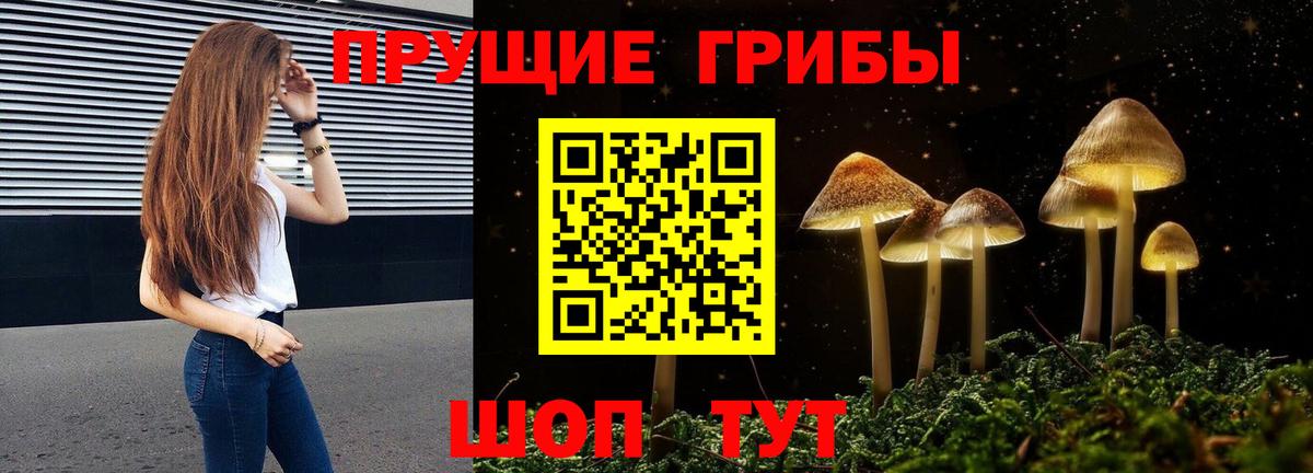 Галлюциногенные грибы GOLDEN TEACHER Москва