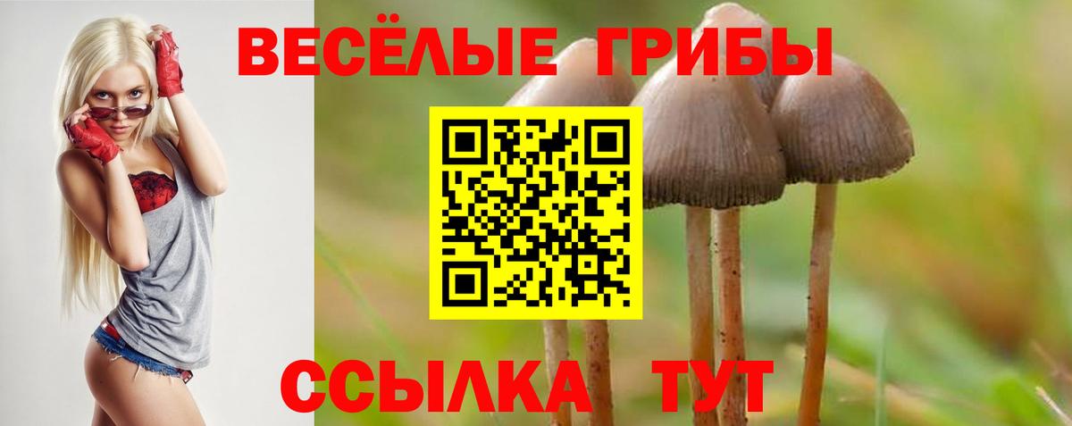 Галлюциногенные грибы Cubensis  Вход с VPN  Москва 